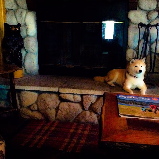 当悬念被提前扼杀，骑士碾压奇才与哈登接管季后赛的暴力美学