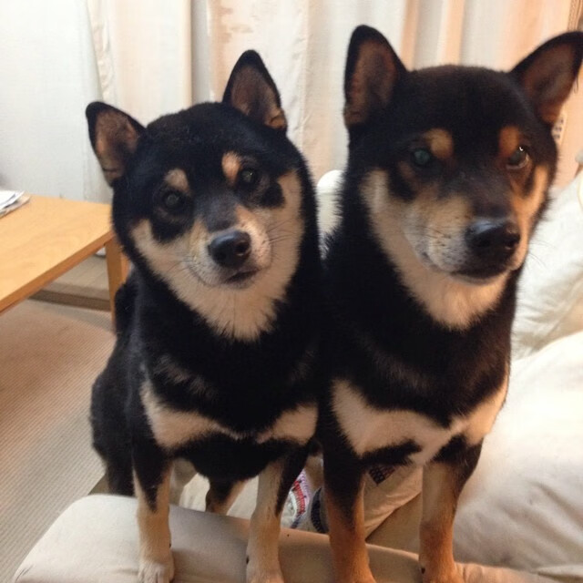 绿茵场与硬木地板的交响，西甲国家德比焦点战与爵士争冠战胜出76人的体育盛宴