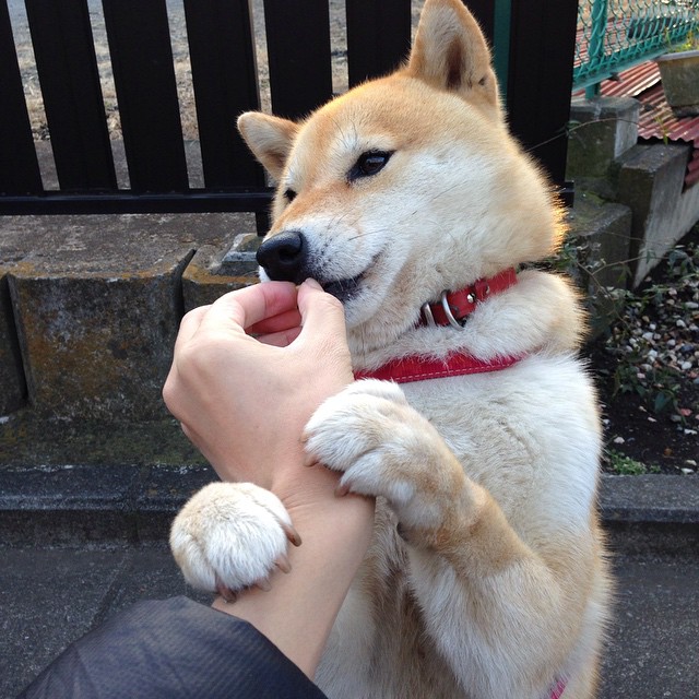 暗夜追猎者，欧冠半决赛，拉梅洛如何以持续杀伤改写比赛法则