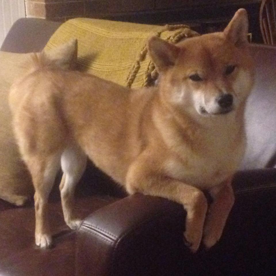 F1街道赛焦点战，亚特兰大火力全开，强势压制马德里竞技