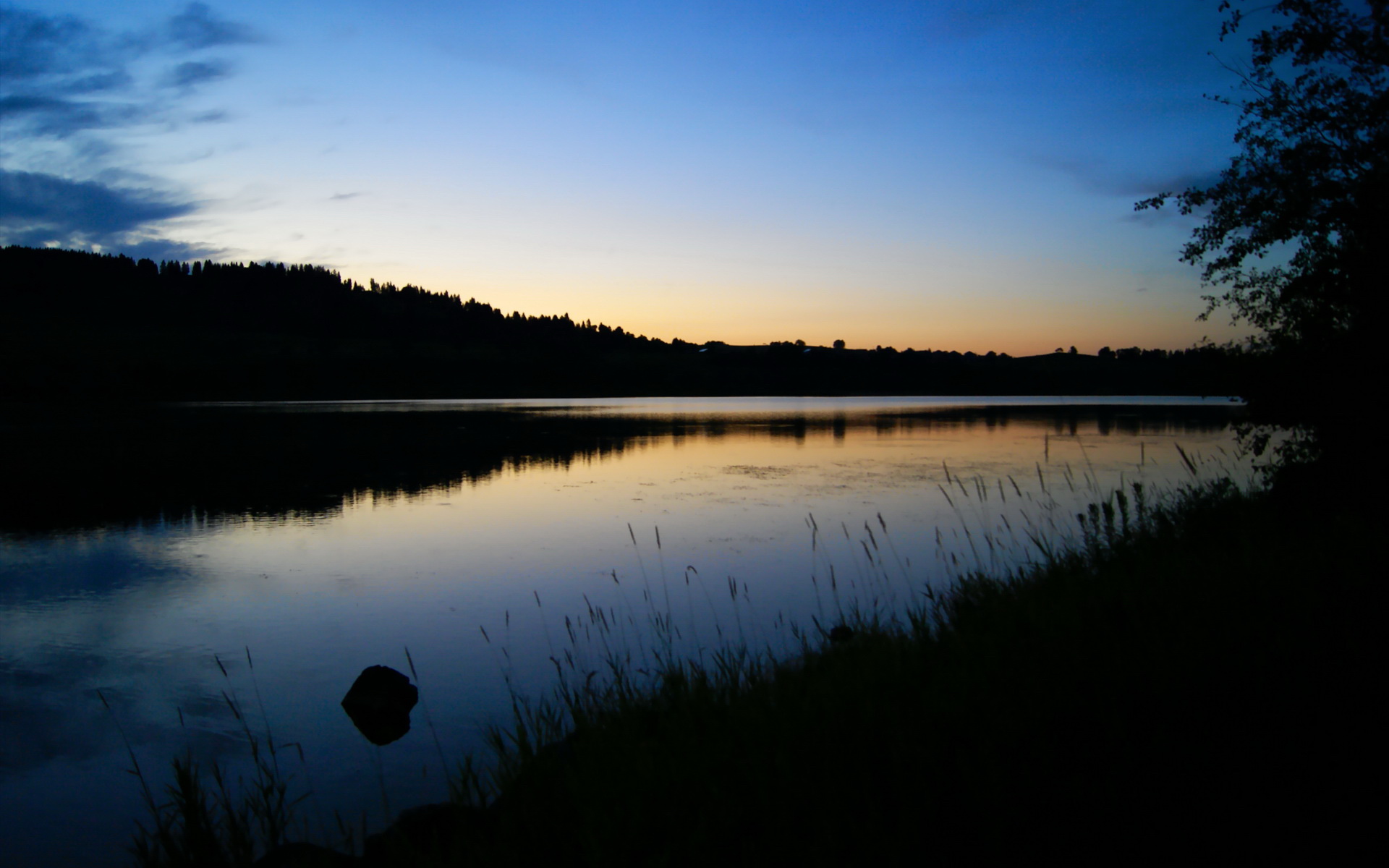 弗拉霍维奇孤星闪耀,阿根廷锋线群收割斑马军团