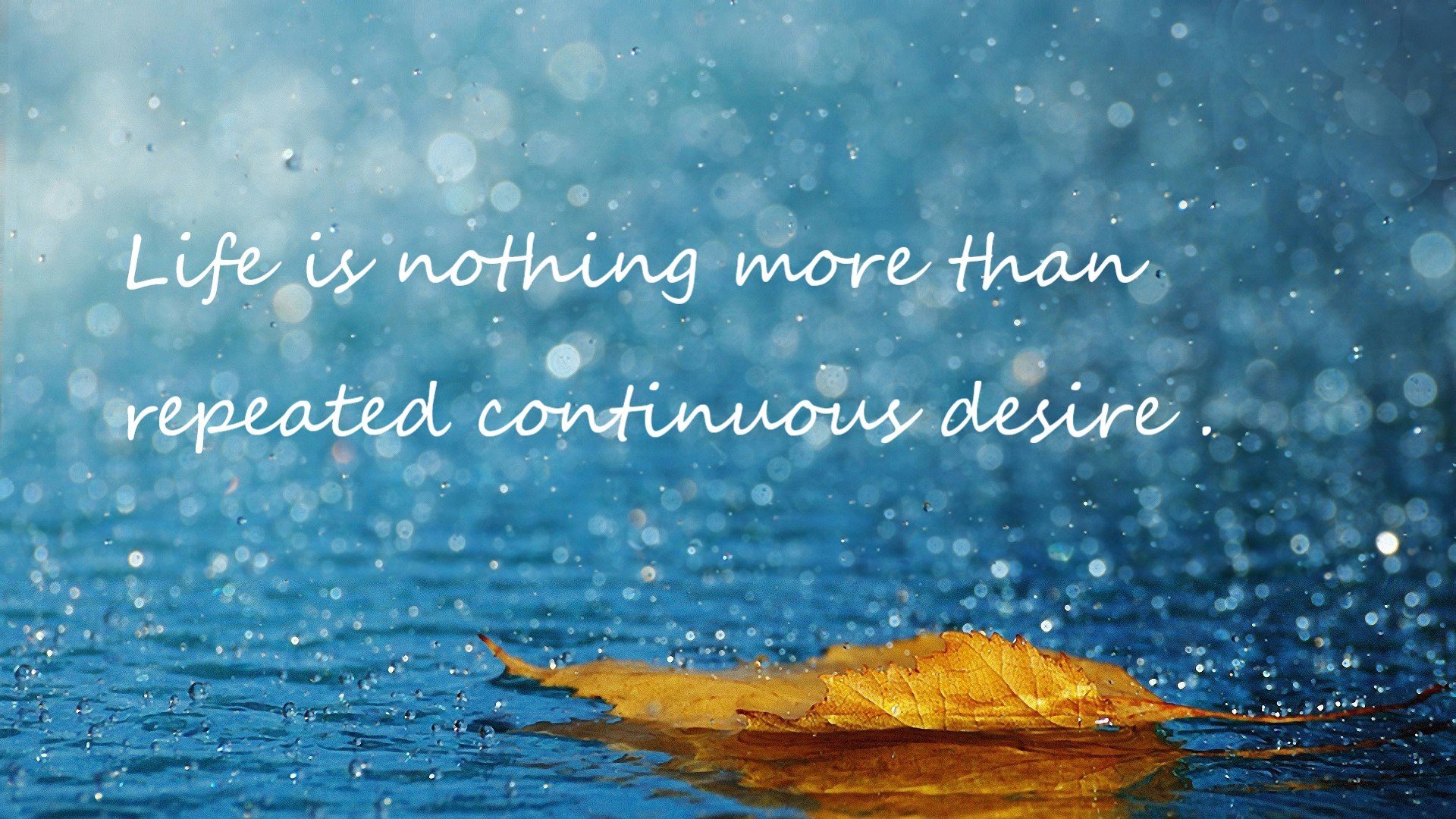 切特狂轰38+12统治攻防，雷霆主场轻取吉林迎三连胜