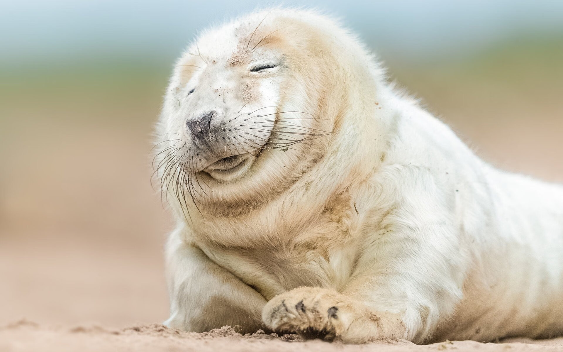 开云体育中国-稳定如钟，踏浪而行，欧冠夜切特如何定义不掉线终极美学