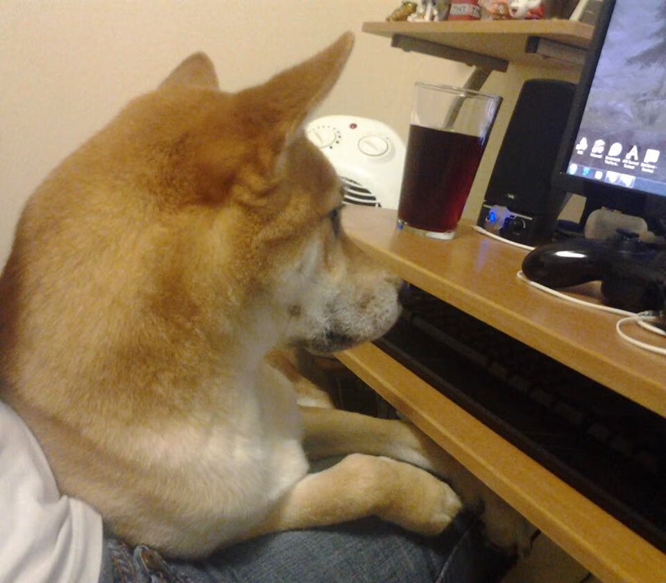 开云体育入口-内外双核闪耀！小贾伦火力全开，辽宁完美节奏击溃步行者