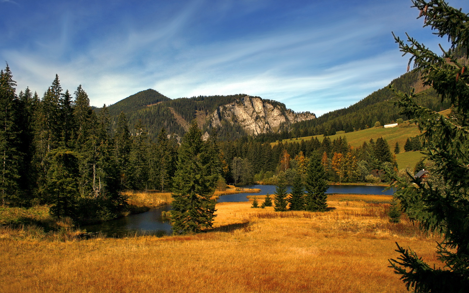 黄黑铁壁锁南美，一锤定音看C罗—当多特蒙德哲学遇上乌拉圭狂想
