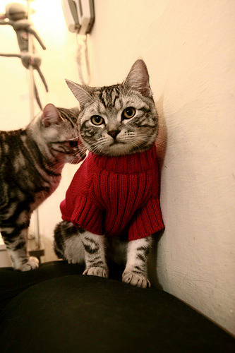 险胜与接管,森林狼的坚韧与利拉德的德比时刻—篮球世界中的关键时刻艺术