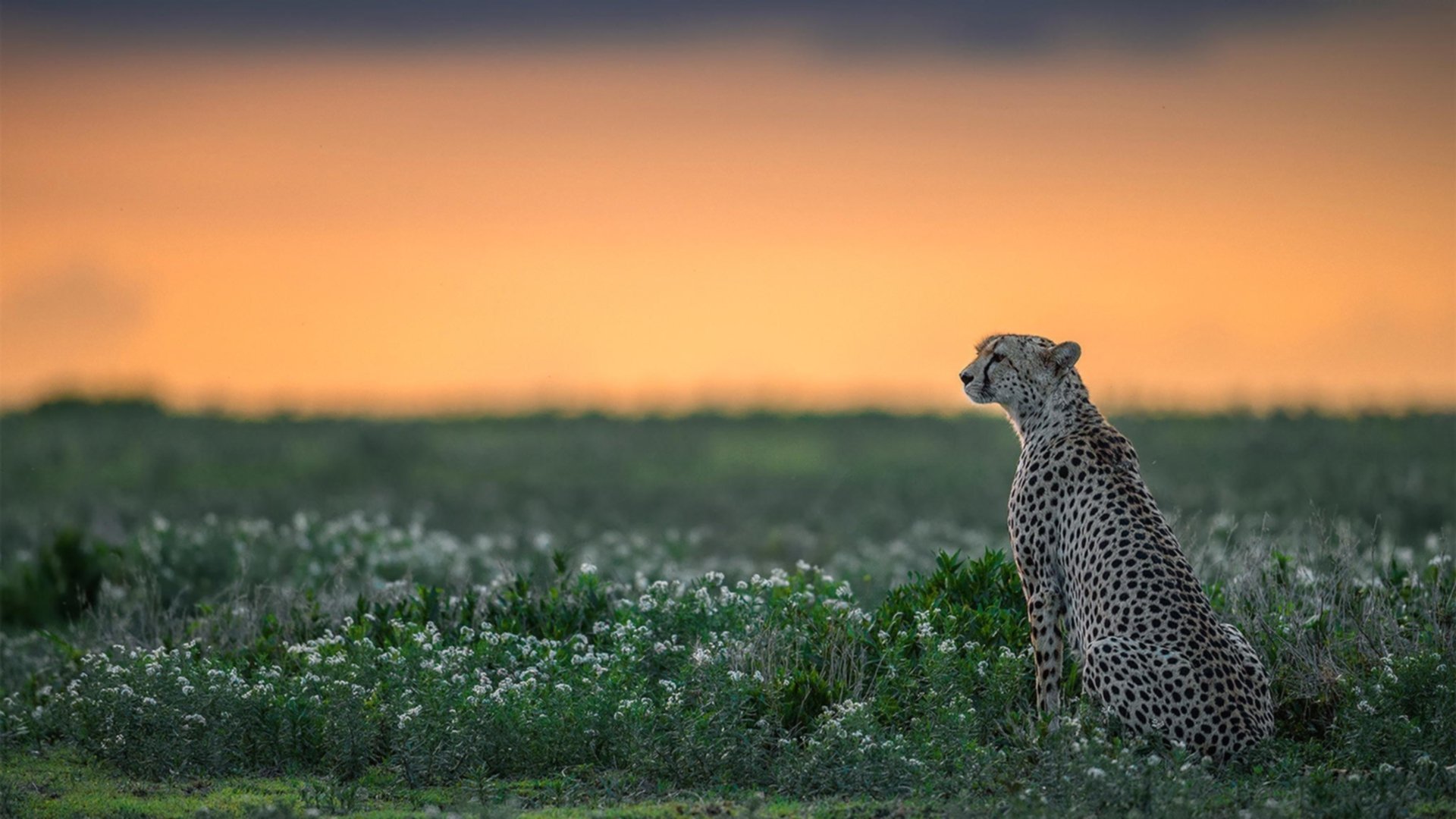 开云体育APP下载-利拉德末节18分射落老鹰，当戴表时刻接管比赛