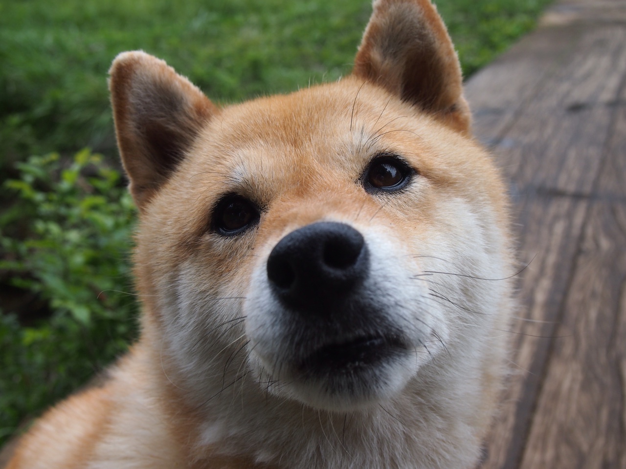 开云体育官方网站-无名之战，有为之士，拉亚用一场完美表演，在沙漠与高原之间写下自己的名字