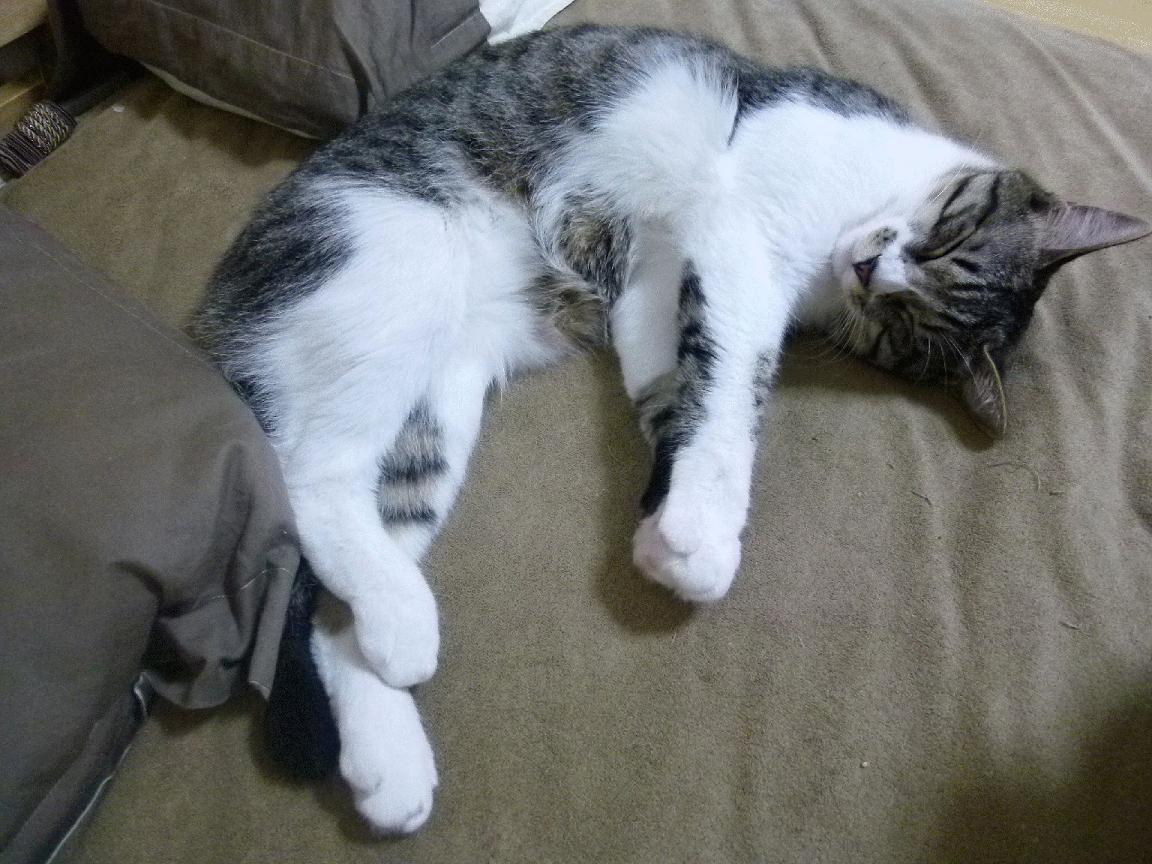 -哈登终结？不，是杰伦·格林点燃了洛杉矶的夜