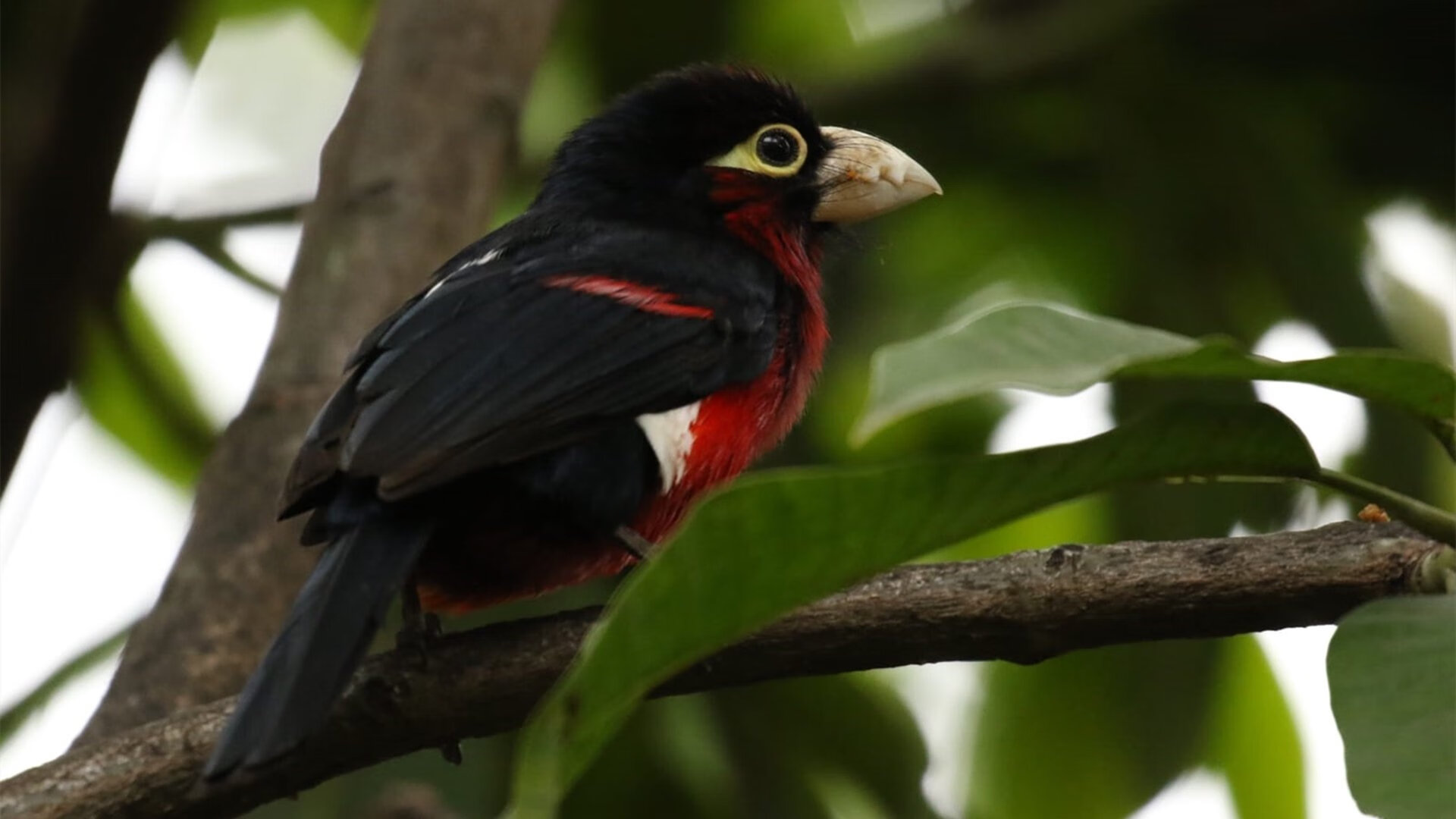 开云体育-坎特全程高能输出，土耳其球队震动欧洲完胜尤文
