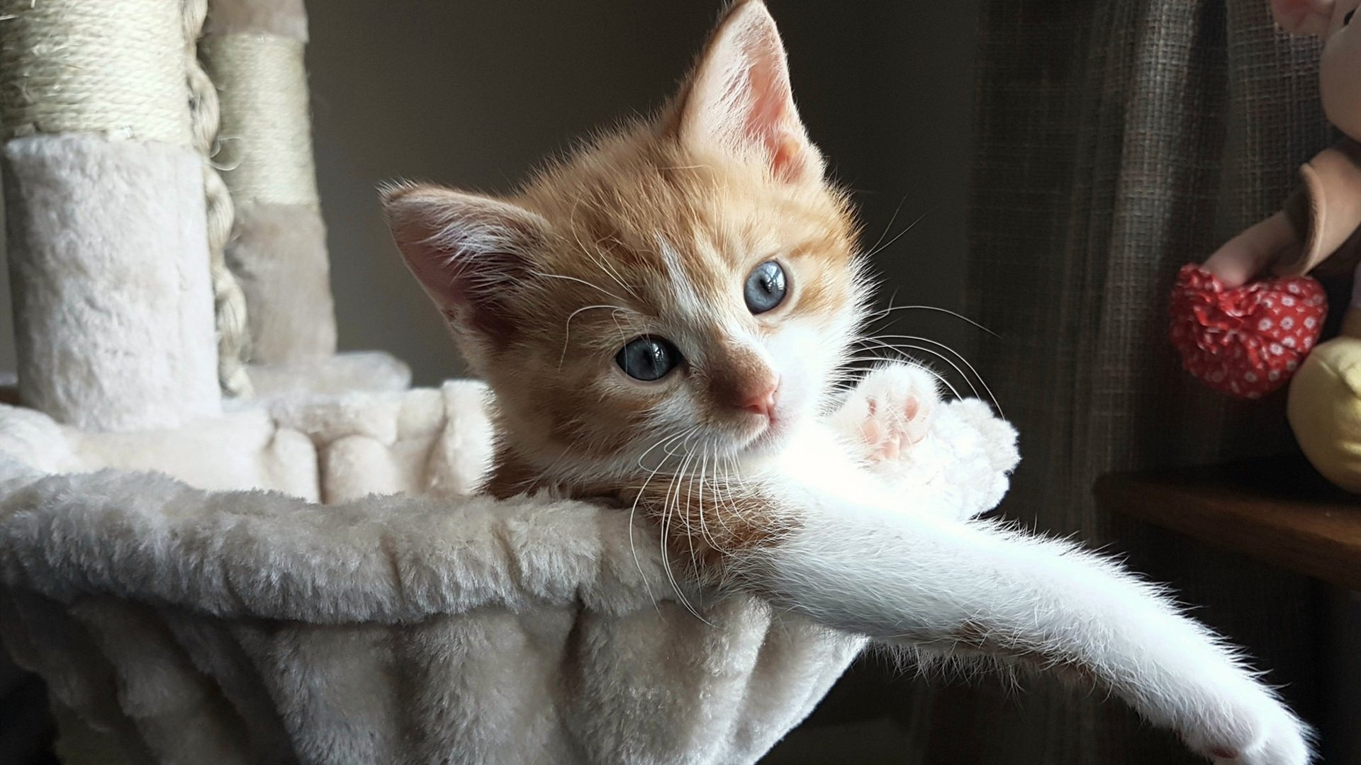 格纳布里掌控节奏,曼城对阵厄瓜多尔展现团队艺术