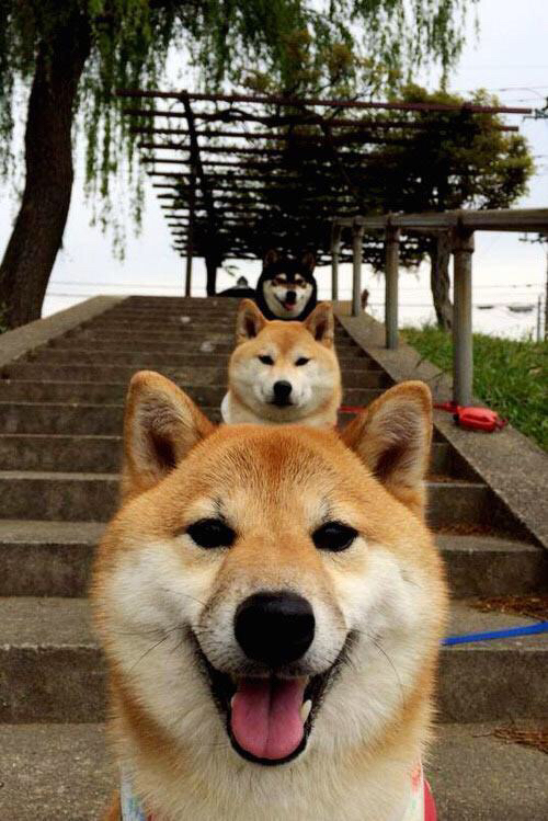 开云下载-跨界巅峰战，绿军铁血防守压垮吉林，锡安筑起禁飞区锁死希望