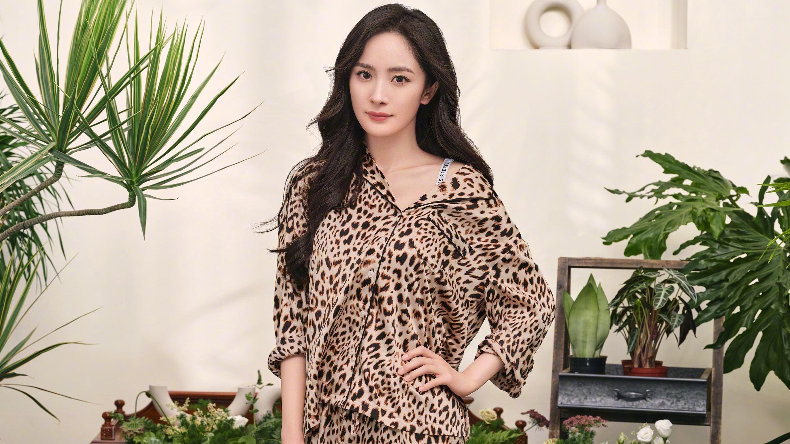 梦幻对决!广厦铁血一波流席卷独行侠,伦纳德末节19分诠释何为定海神针