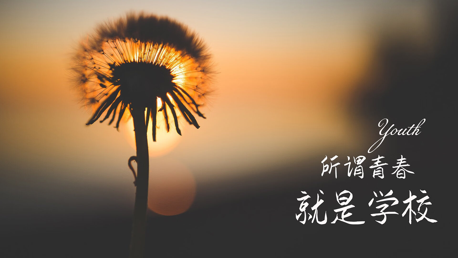 开云官网-逆转之夜，神迹再现，2026世界杯C组匈牙利绝地反击，梅西致命一击震惊世界