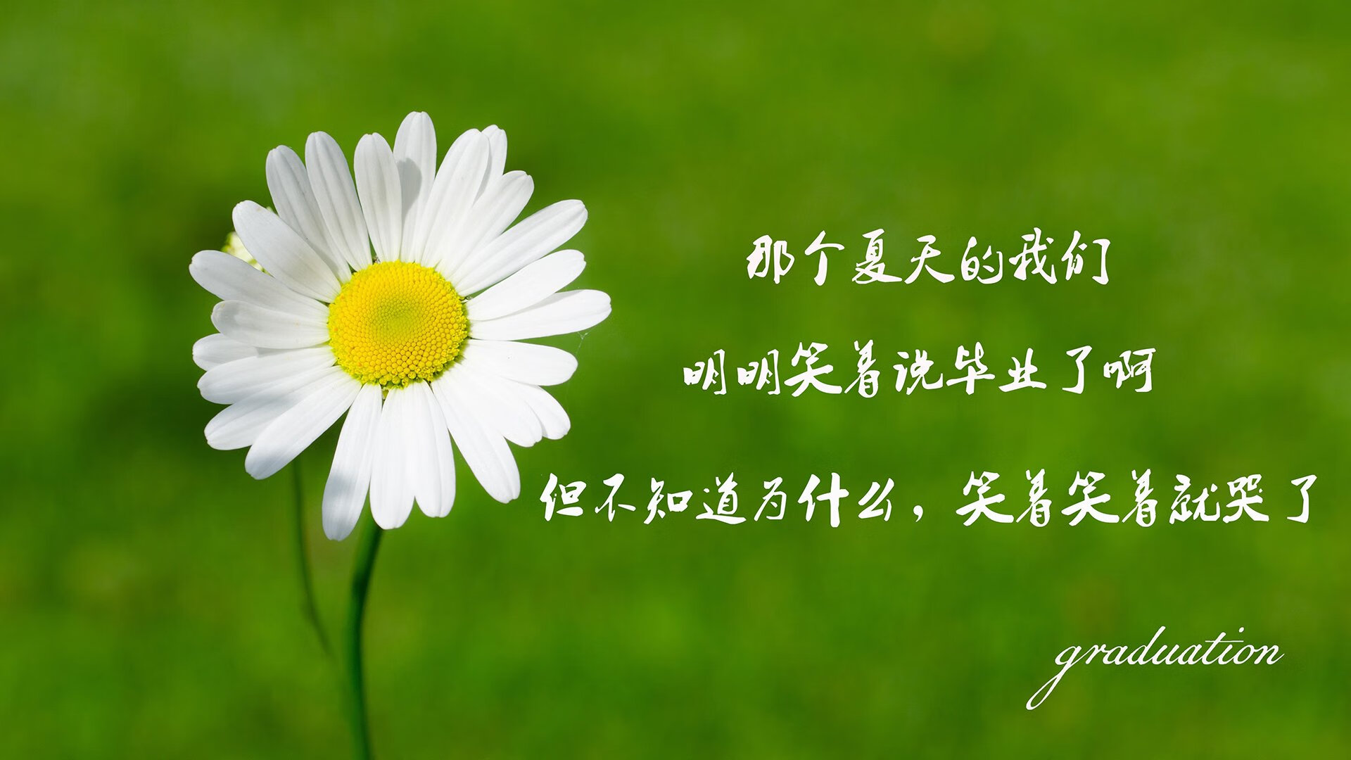 2026世界杯D组风云突变，法国碾压乌拉圭，三笘薰率日本队强势突围
