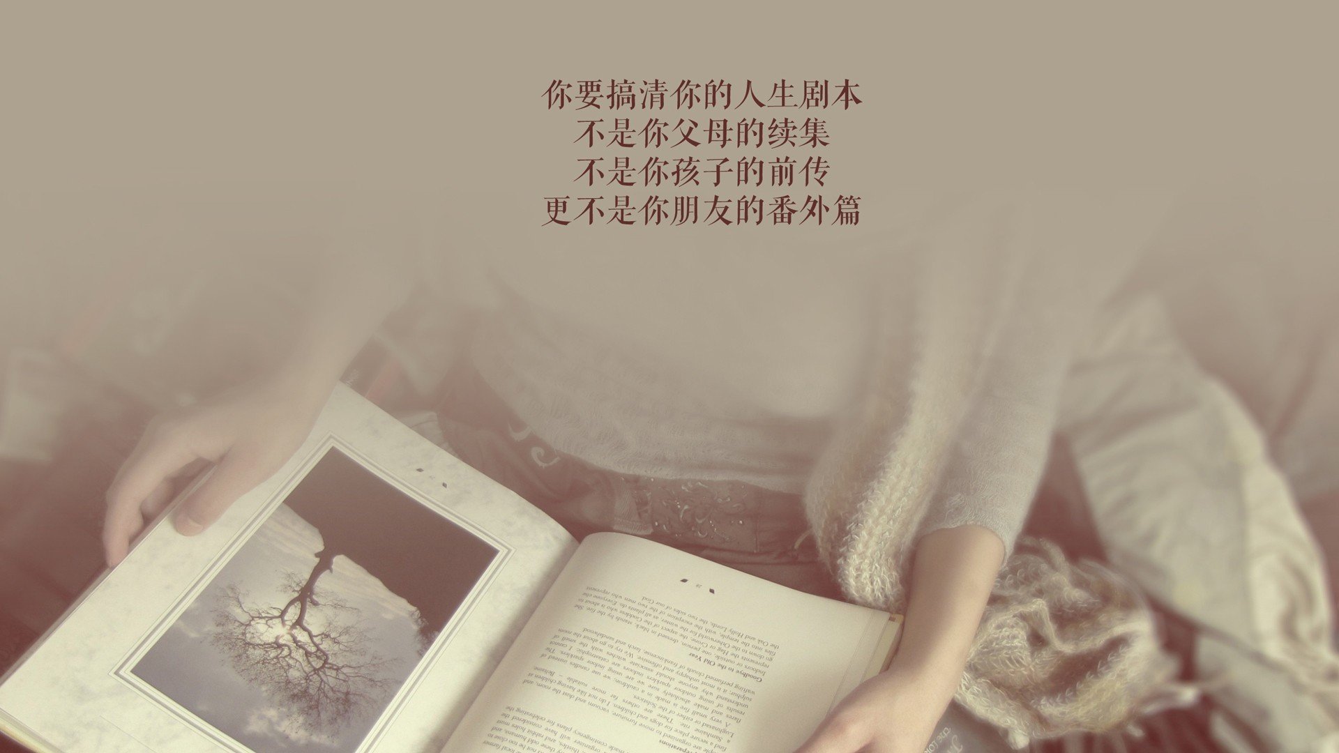 开云体育平台APP-逆转与征服，2026世界杯豪门对决，泰国奇迹与费利克斯的战术交响