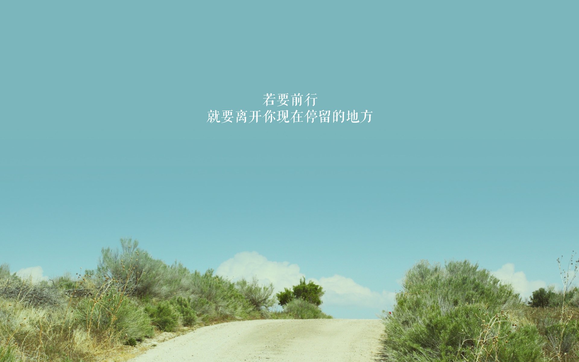开云体育APP下载-2026世界杯H组惊世之战，波兰钢铁洪流碾压西班牙，凯恩领衔反击风暴闪耀全场