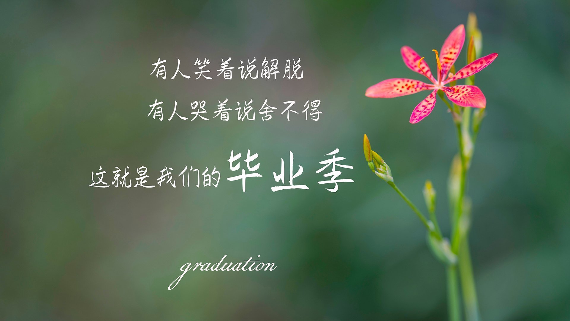 开云体育平台APP-沙漠风暴席卷袋鼠军团，阿联酋横扫澳大利亚，B费闪耀全场