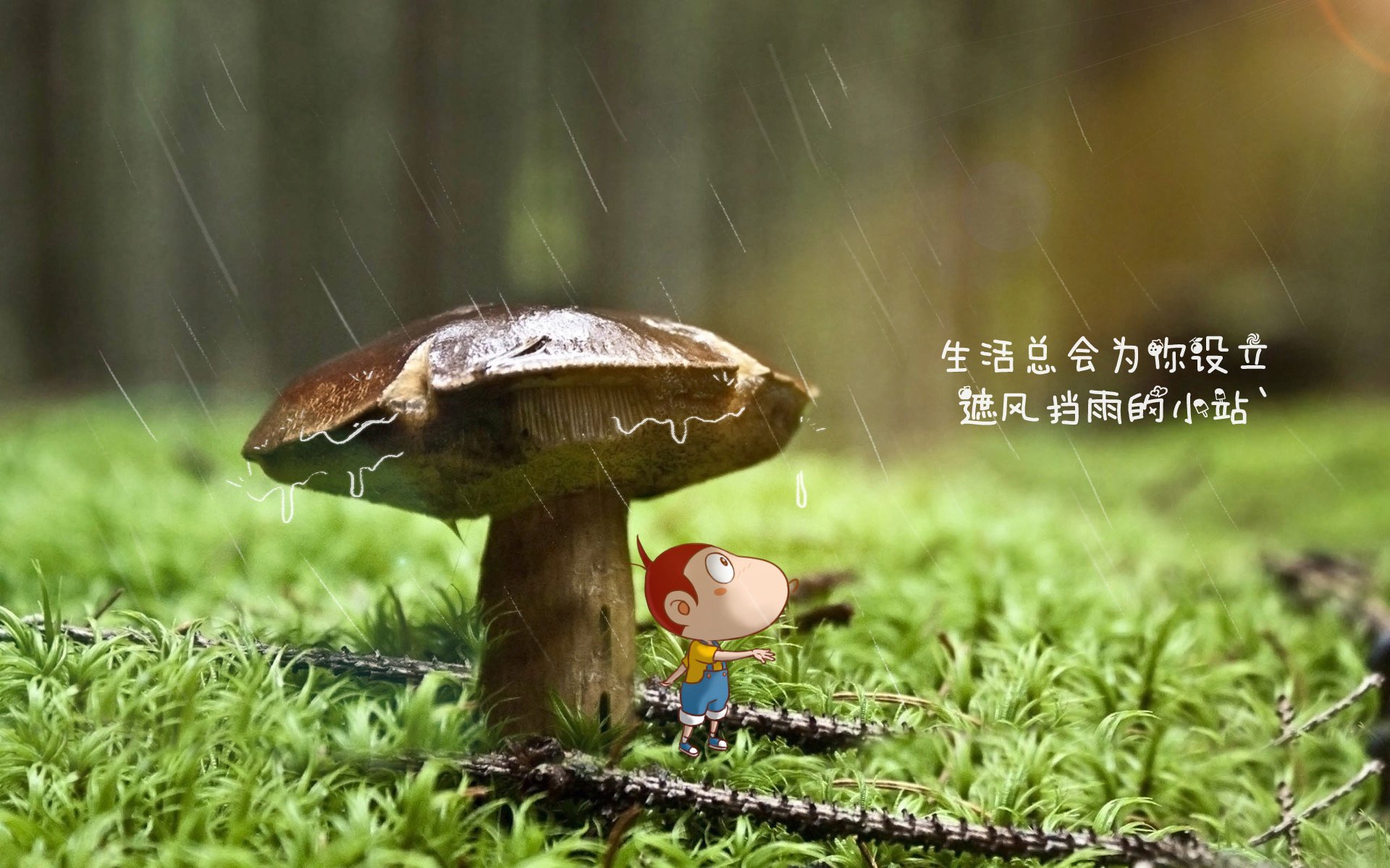 开云APP-战火中的艺术，克罗地亚强硬完胜越南，德容中场统治力演绎足球哲学