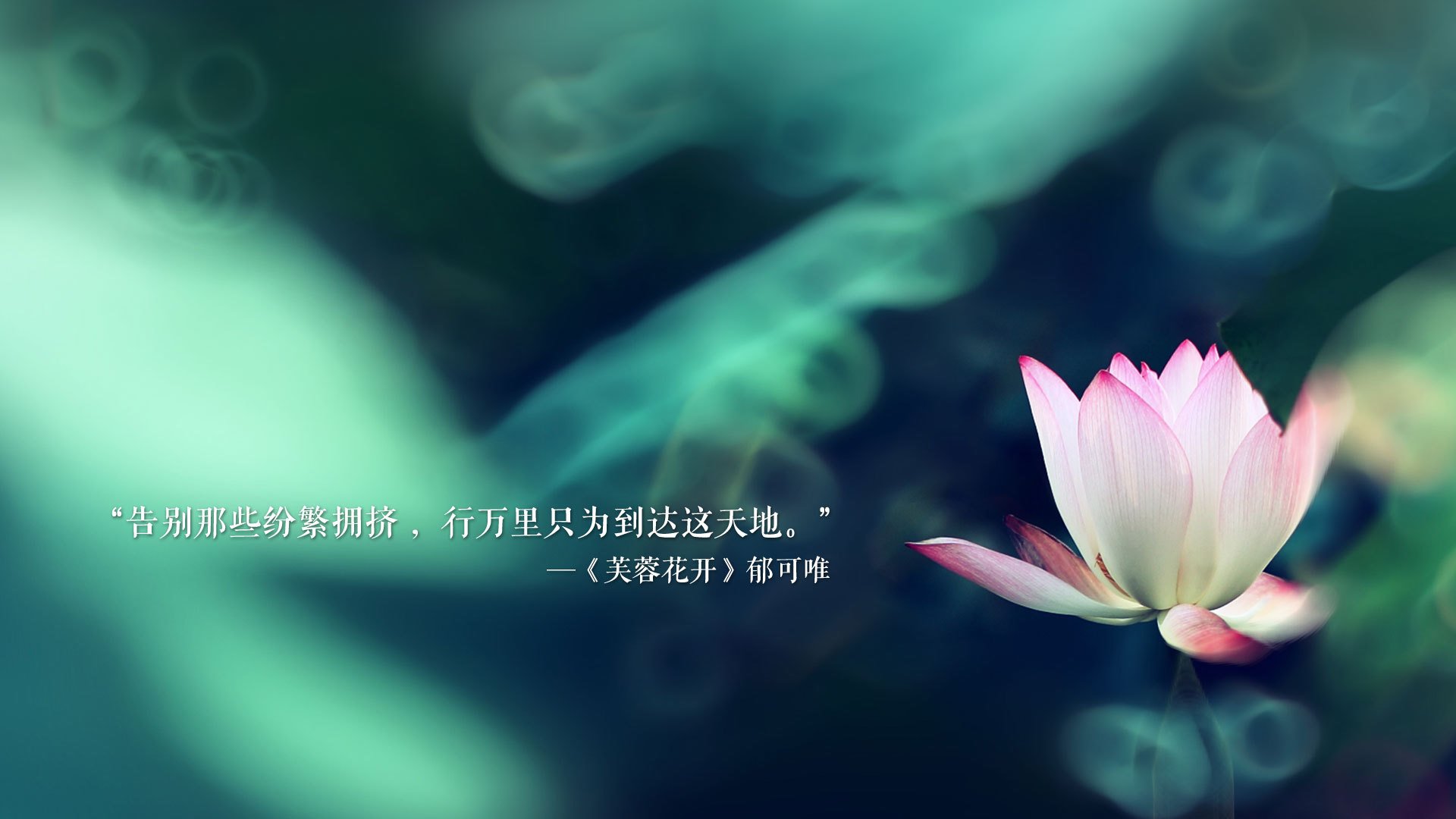开云体育下载-宿命重演，2026世界杯焦点战，加纳完胜巴西，穆西亚拉主导下的默契风暴